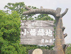小幡緑地　本園