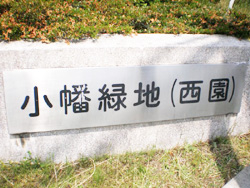 小幡西緑地　西園