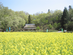 日本昭和村