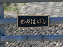 若葉公園