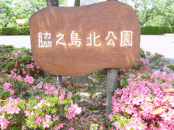 脇之島北公園