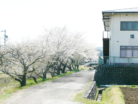 塩河公民館