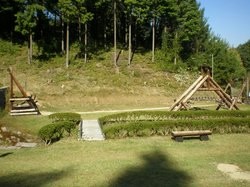 大正村　明智の森